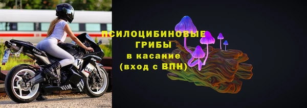 индика Богородицк